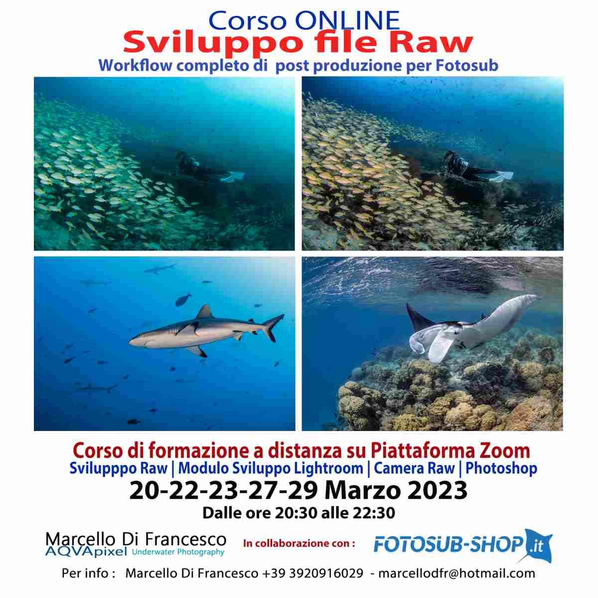 Workshop Introduzione alla Post Produzione per Fotosub - di Marcello Di Francesco - dal 20 al 29 Marzo 2023