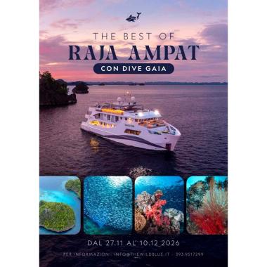 Una indimenticabile crociera subacquea tra le acque incontaminate di Raja Ampat, a bordo della prestigiosa GAIA LOVE, premiata come Best Overall Liveaboard 2026 ai prestigiosi Read
