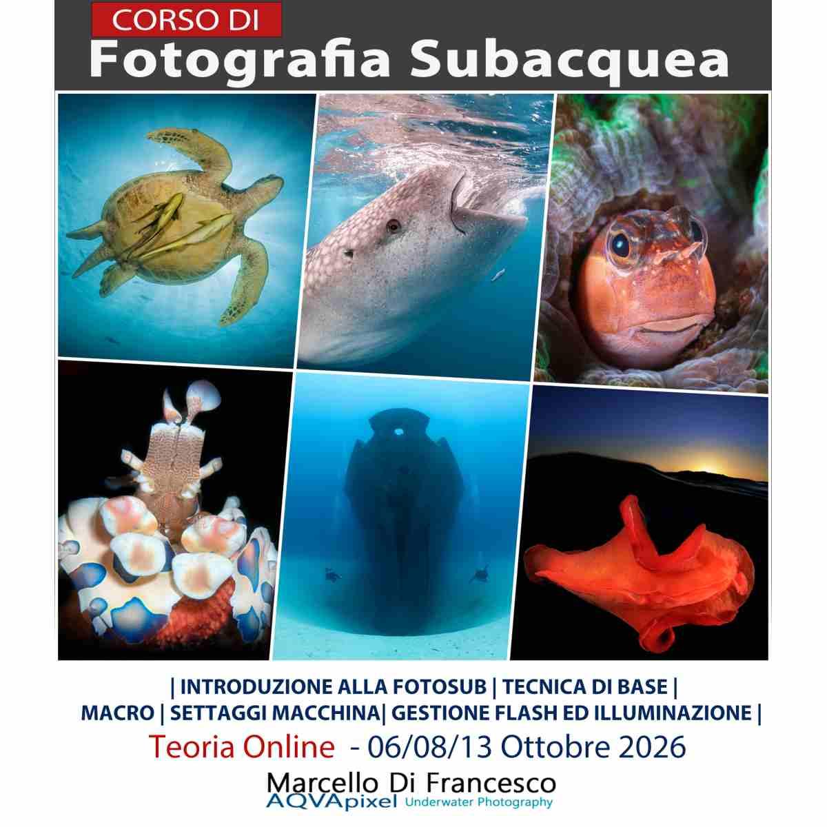 Corso online dedicato alla fotografia subacquea, con Marcello Di Francesco.   Dal 6 Ottobre 2026